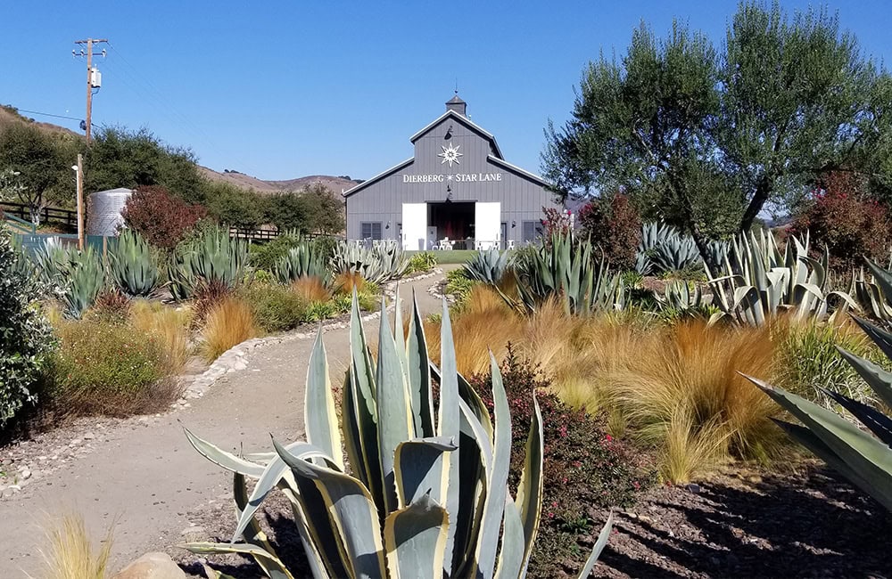 Scenic view of Dierberg-StarLane Winery with desert plants and blue sky.