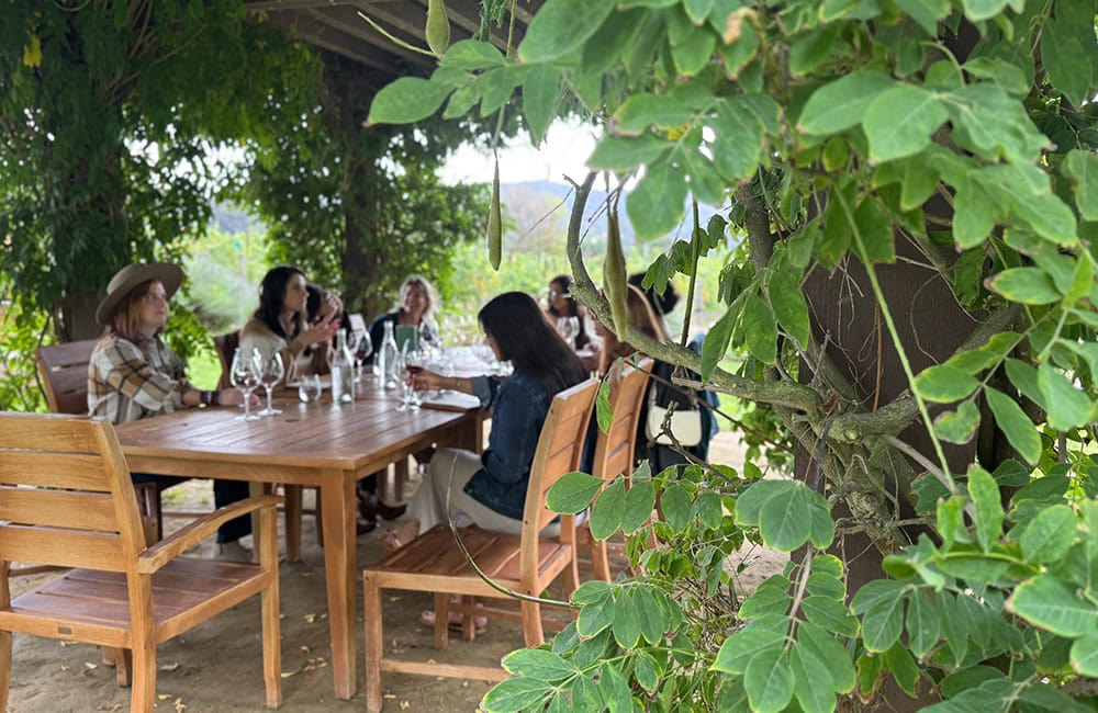 Enjoying a wine tasting under a shaded tree in Lompoc, California.