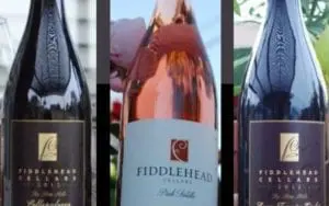 Fiddlehead Wine Bottle