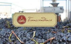 Transcendence Winery