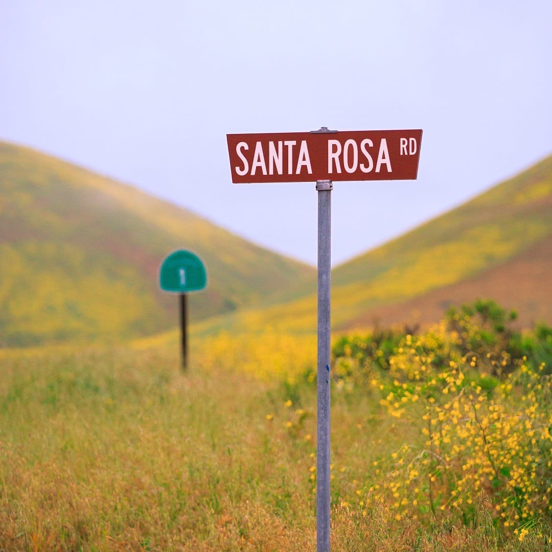 Santa Rosa Road Lompoc California Wildflowers 2017