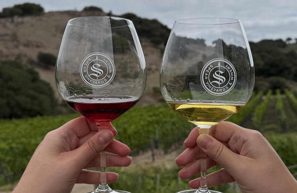 Two wine glasses with red and white wine against vineyard background in Lompoc, CA.