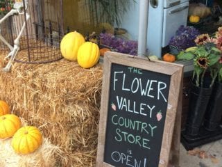 Flower Valley Country store sign