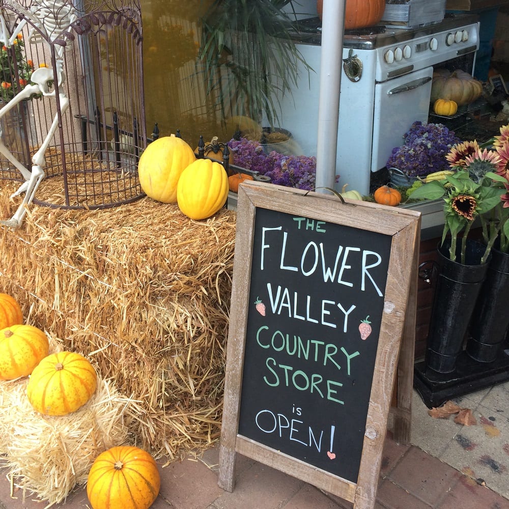 Flower Valley Country store sign