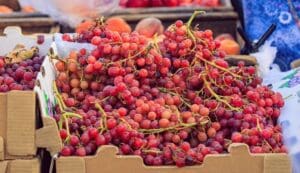 Lompoc Farmers Market