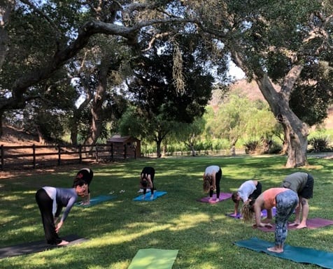 Yoga & Wine Tasting at Hidden Canyon Ranch - Lompoc Events Calendar