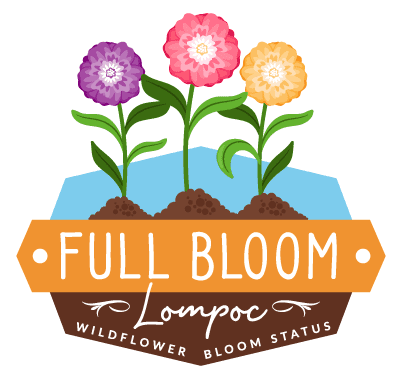 Bloom Status full bloom