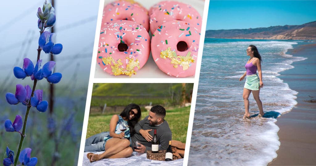 Collage: Purple flowers from Lompoc, pink doughnuts with sprinkles, a couple enjoying a romantic picnic, woman walking by the ocean.