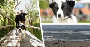 Lompoc Dog Friendly Activities