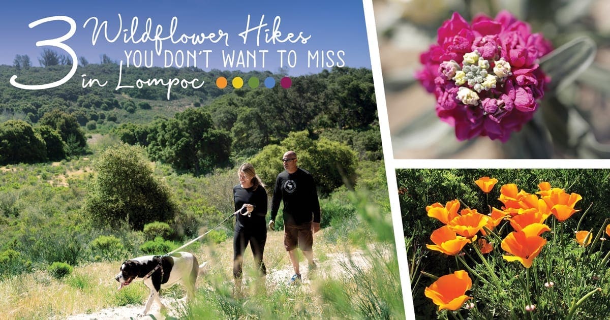 3 Wildflower Hikes You Don't Want to Miss in Lompoc