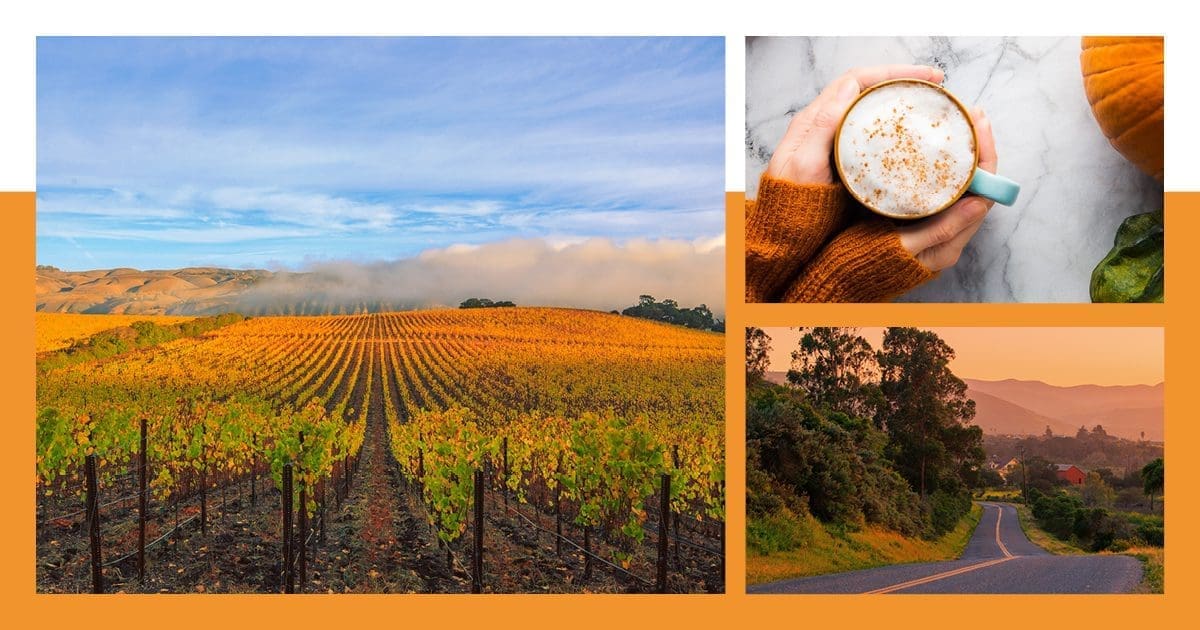 Take The Ultimate Fall Road Trip To Lompoc - Lompoc California