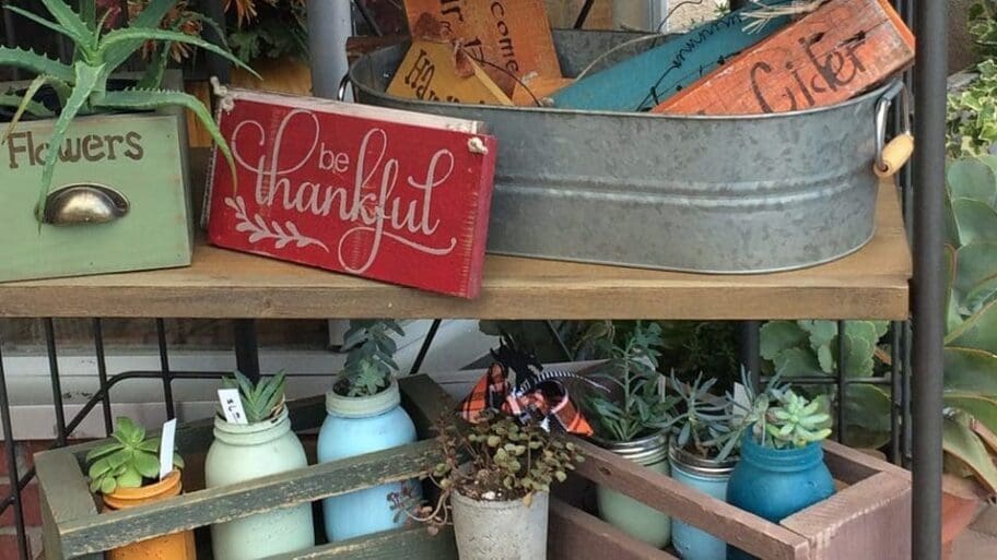 Potted succulents and decorative wooden signs on display at The Garden Shoppe