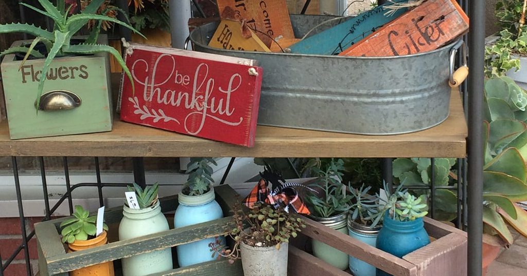 Potted succulents and decorative wooden signs on display at The Garden Shoppe