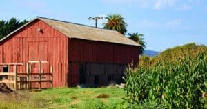 zellers farms