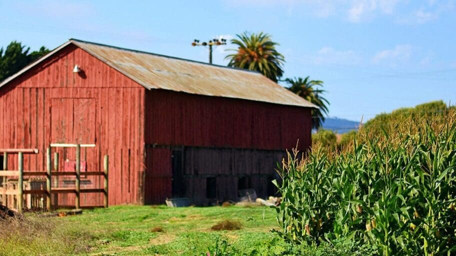 zellers farms