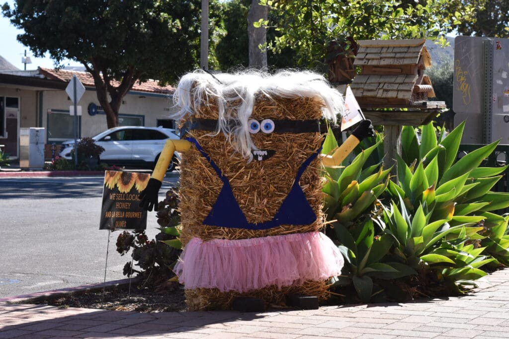 A bale of hay dressed as a minion in a cheerleader costume for the Annual Lompoc Scarecrow Contest