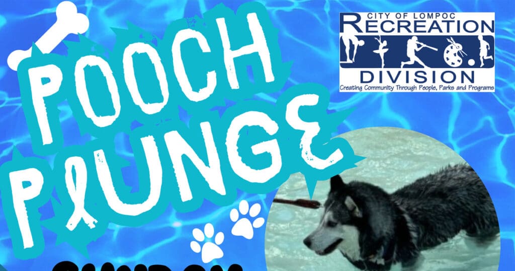 pooch plunge