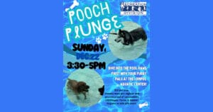 pooch plunge