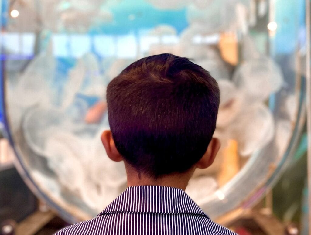 A boy in a striped shirt stands facing a large aquarium tank filled with jellyfish, discovering the wonders of marine life as showcased in Lompoc museums that celebrate art and culture.