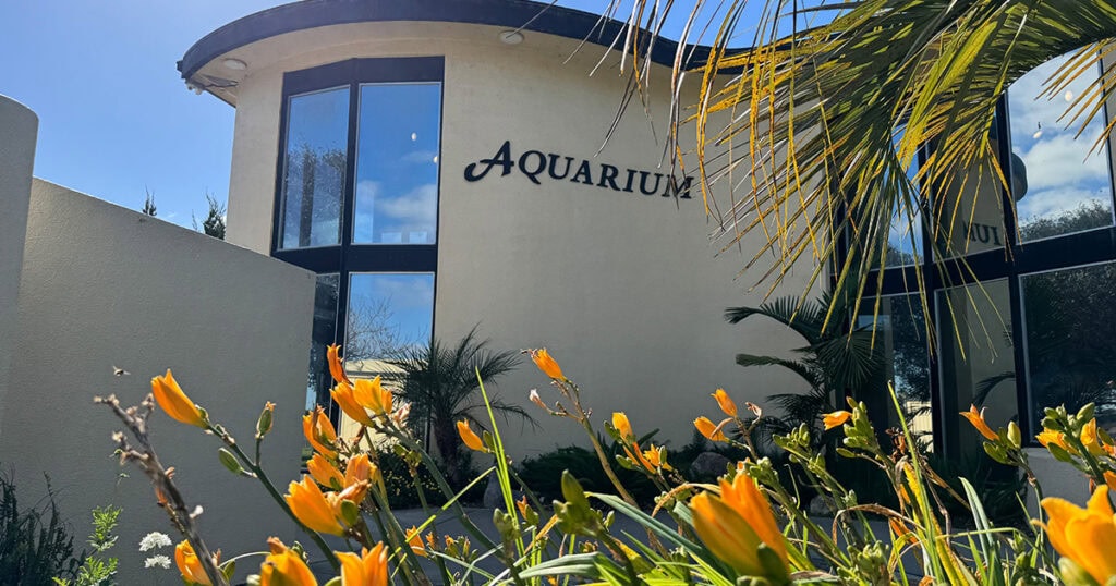 Modern aquarium building with large glass windows and tropical plants.