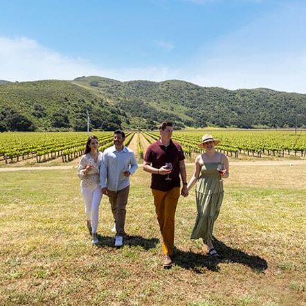 Four people stroll across a grassy field, wine glasses in hand, enjoying the view of a vineyard and rolling hills under the clear blue sky. Nearby, a charming hotel offers perfect accommodations for their idyllic escape.