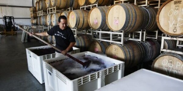 Alfonso Curran Winery Lompoc