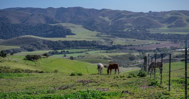 Come explore the sweeping, wide-open spaces that made the West famous 🐎

📷 Jason Reynolds

#explorelompoc #lompoc #centralcoast #socallife #travelcalifornia #lifeonthecoast #californiaexplored #inlandempire #exploringcalifornia #socallife #visitcalifornia #visitca #pointsal #hikes #californiacaptures #californiaholics #theonlycalifornia #ig_california #igerscalifornia #unlimitedcalifornia #socal #ca #la #california #losangeles #instacalifornia #instlosangeles #socaladventures