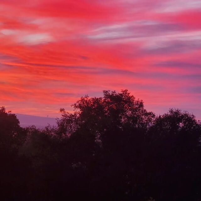 Another glorious sunset! ️🧡🌇

📷 @santaritahillslavender

#explorelompoc #lompoc #centralcoast #VisitCalifornia #photography