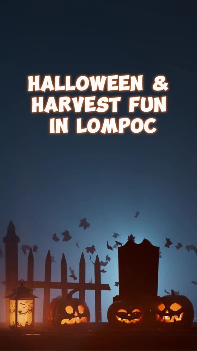 🎃 Ghosts and ghoulies, are you ready for Halloween festivities that will get you into peak spooky season spirits? Tricks, treats, and harvest fun await you this month in Lompoc! 👻 

🎃@zellers_farms Pumpkin Patch
🍬 Old Town Trick or Treat
🎃 Dunkin' for Pumpkins at Lompoc Aquatic Center
🦈 @chsaquarium Open House Sharktoberfest
👻 @lompocfrightfest
🎃 Lompoc Queen of Angels Catholic Church Harvest Festival

Visit our link in bio for other events happening in the Lompoc Valley ⬆️

#trickstreats #pumpkins #pumpkinpatch #harvestfestival #lompocvalley #readyforhalloween #festivities #lompoc #explorelompoc #lompocvalley  #oldtown #openhouse #spirits #tricks #fest #fun #spooky