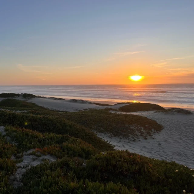 Start 2025 off right with these stunning views at Jalama Beach County Park 😍☀️🌊

Plan your trip 👉 Link in bio

📸 @ReadySetpto