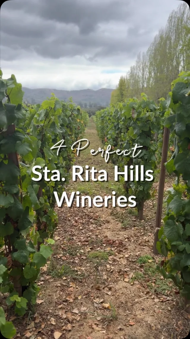 🍷 Four wineries. One unforgettable wine country adventure!

The Sta. Rita Hills are calling, and these four stops deserve a spot on your itinerary!

🍇 @babcockwinery – Award-winning wines with a fun, retro vibe.

🍇 @melville_winery – Exceptional cool-climate wines and gorgeous vineyard views.

🍇 @sanfordwinery – A Pinot Noir pioneer with deep roots in the region.

🍇 @spear_winery – Small-lot wines, stunning scenery, and a memorable tasting experience.

Ready to sip your way through the Sta. Rita Hills? 

Comment “HILLS” to get started.